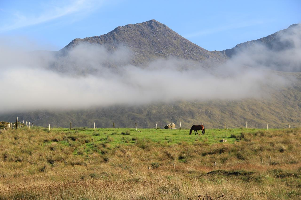 The Reeks Cottage Killarney Exterior photo
